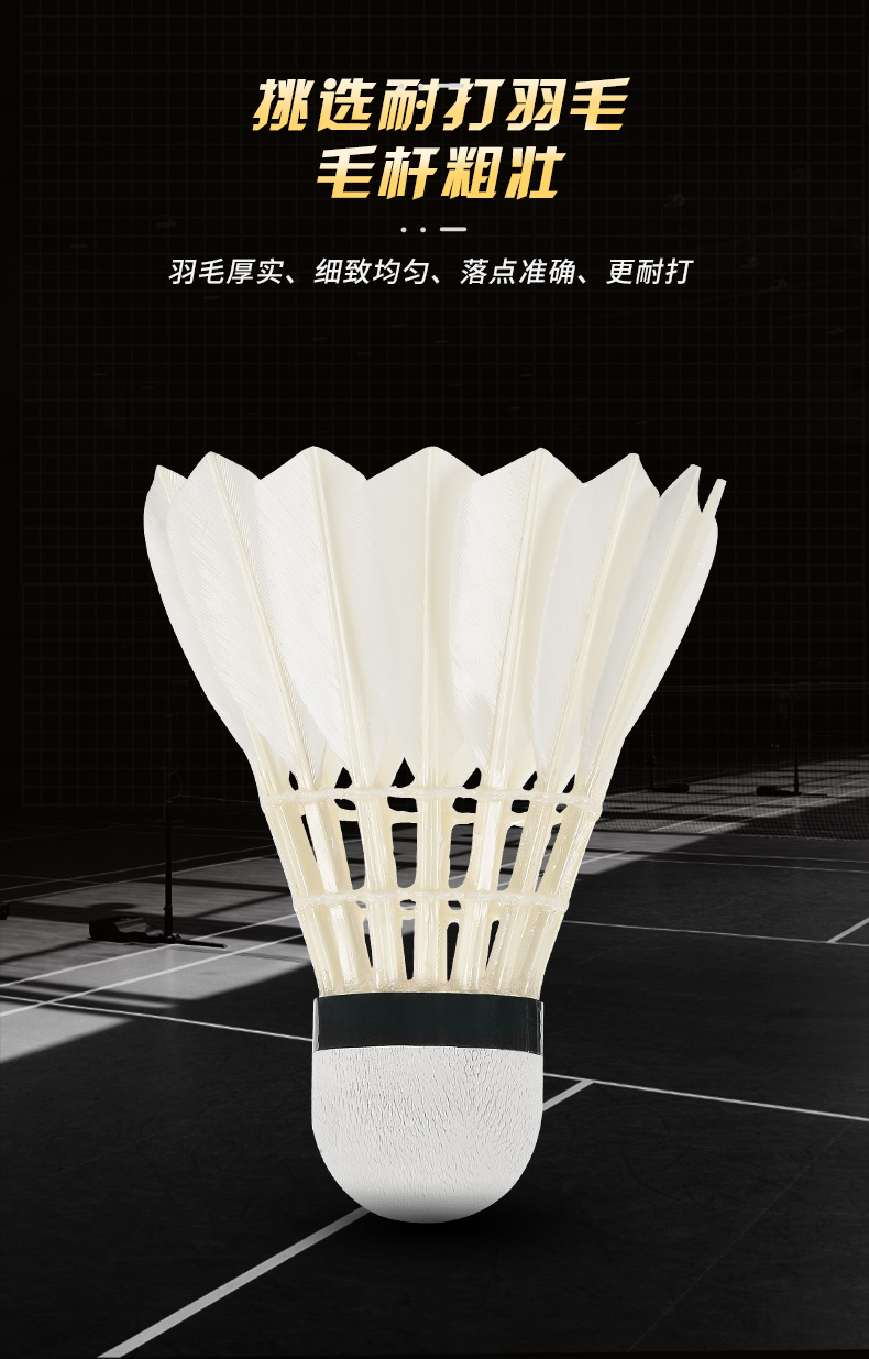 Nuove palline da Badminton pro - Badminton Victor recensione e prezzo