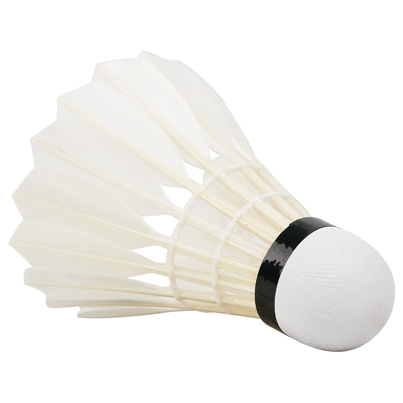 Nuove palline da Badminton pro - Badminton Victor recensione e prezzo