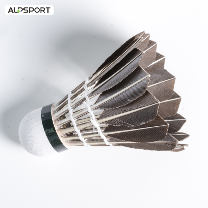Volani da badminton ALP 806 12 - Badminton Victor recensione e prezzo