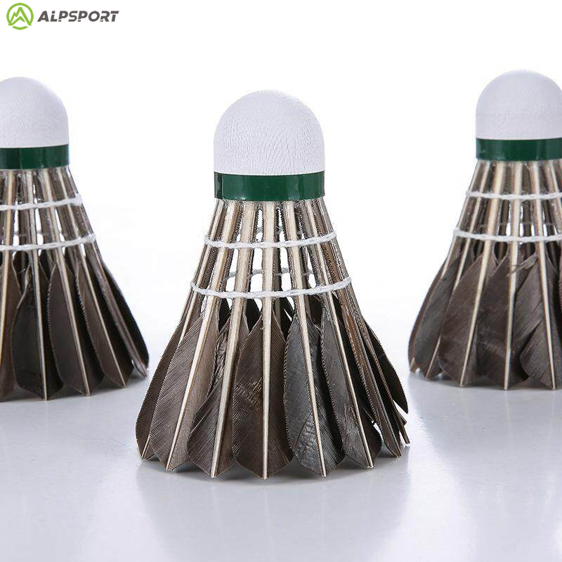 Volani da badminton ALP 806 12 - Badminton Victor recensione e prezzo
