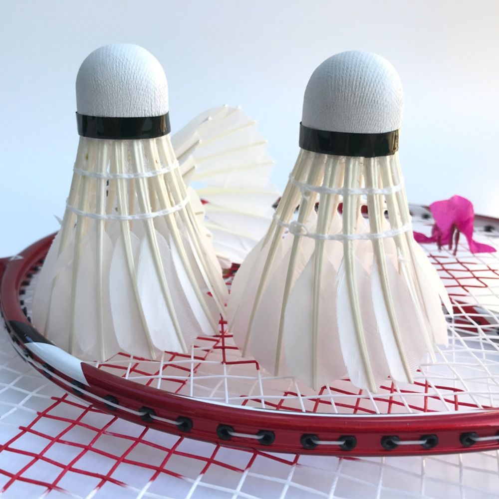 3/6/12 Pz Nuovo Volano Da Badm - Badminton Victor recensione e prezzo